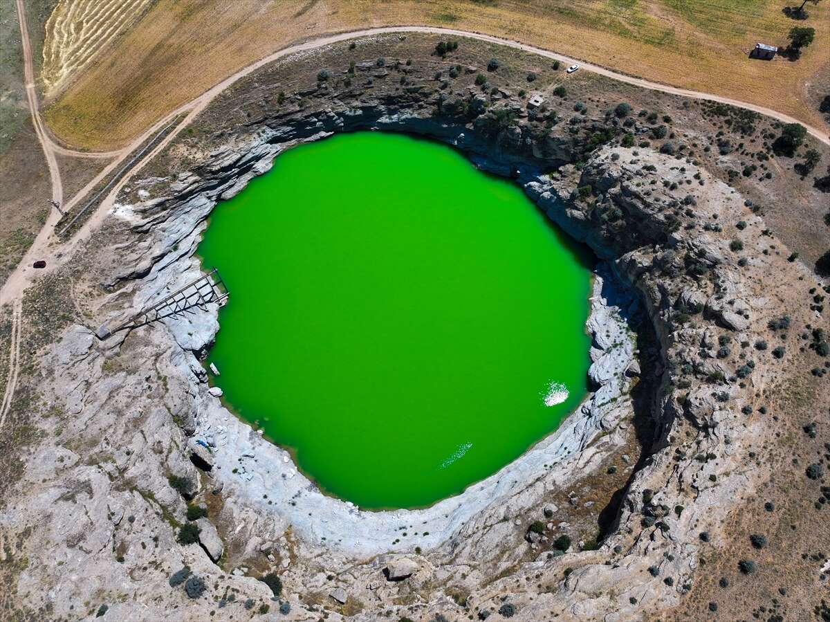 Bozkırın ortasında yeşil cennet! Konya'nın zümrüt güzelliği yeniden hayat buldu 4